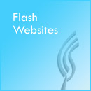 Flash Website